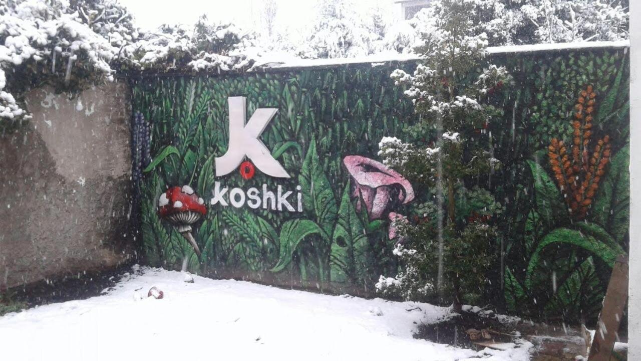 Hostel Kosh San Carlos de Bariloche Exterior foto